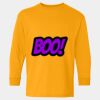  Heavy Cotton™ Long Sleeve T-Shirt (Youth) Thumbnail
