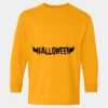 Heavy Cotton™ Long Sleeve T-Shirt (Youth) Thumbnail