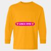  Heavy Cotton™ Long Sleeve T-Shirt (Youth) Thumbnail