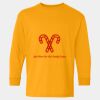  Heavy Cotton™ Long Sleeve T-Shirt (Youth) Thumbnail